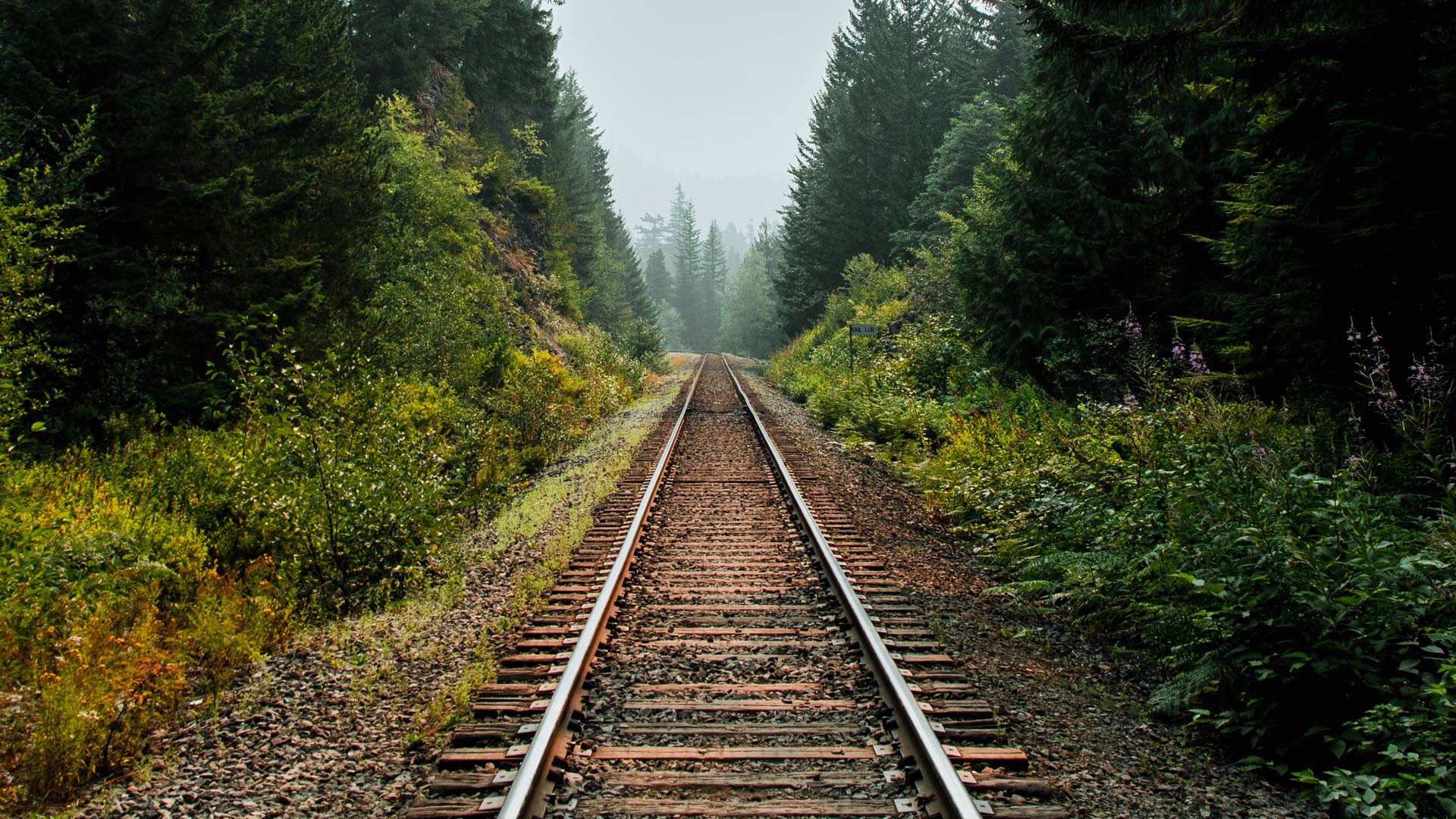 Summer Railroad
