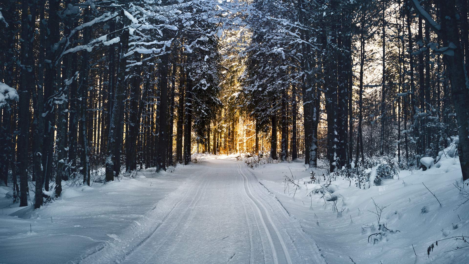 Winter's Light